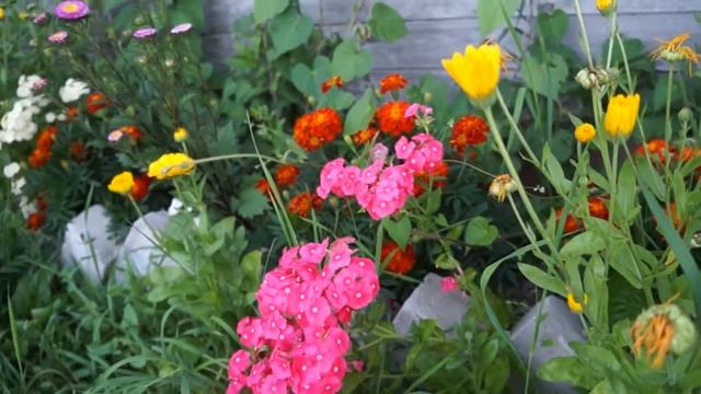 Вязание крючком: игрушки смотреть онлайн