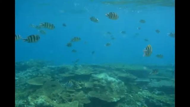 Hurghada 2015 смотреть онлайн