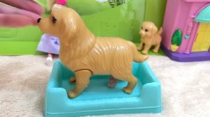 Питомцы на Детской Площадке ? Собачка Барби Рожает троих. Всего 12 Собак ?