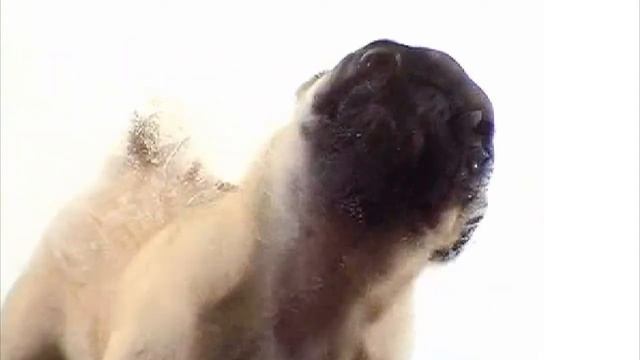 Как почисить монитор. How to clean monitor . смотреть онлайн