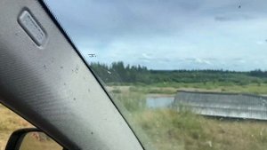 Рыбалка на притоках реки Печора. Река Унья. На БМВ Х6 по бездорожью до Усть-Уньи.