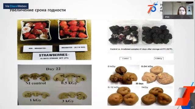 Что такое ядерная медицина: прошлое и настоящее. Мини-курс «Ядерная медицина»