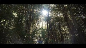 «Нас сүресі» Қазақша мағынасы — Серік қари Ахмет & Дидар Сыздық
