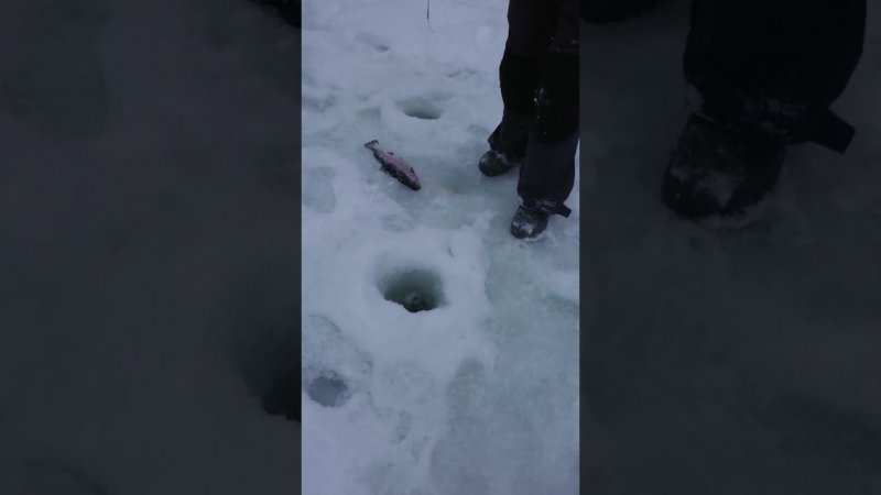 А это уже классика в железе!