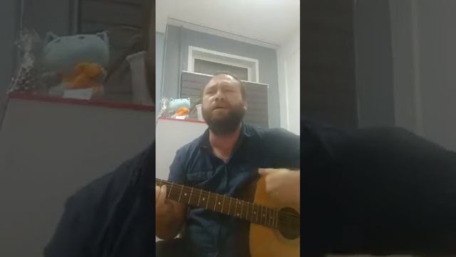 Невеселая песня моя