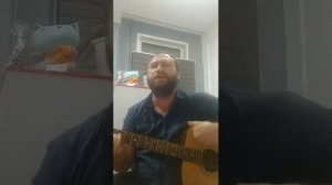 Невеселая песня моя