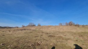 Берег реки Волхов в деревне Змейско
