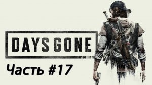 Days Gone #17