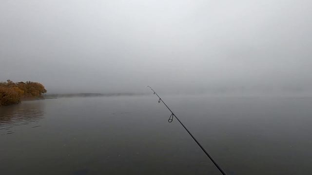 Тиляпия!!! рядом с Атомной станцией!!! смотреть онлайн