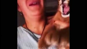 КАКИЕ ЗВУКИ ИЗДАЮТ КАРАКАЛЫ ?