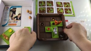 Запасливые белки. Логическая игра. Бондибон.Bondibon. Обзор