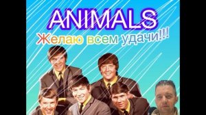 ANIMALS