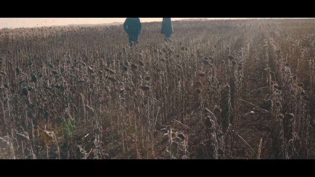 AlemAgro - Более 15 Лет Объединяем Лучшее