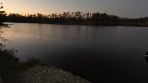 24 часа рыбалка на сазана и белого амура, наловили много крупной рыбы, клёв карпа осенью карпфишинг