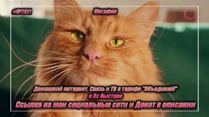 Мегафон — «Домашний интернет, связь и ТВ в тарифе "Объединяй"» в 8х быстрее | PRO Рекламу