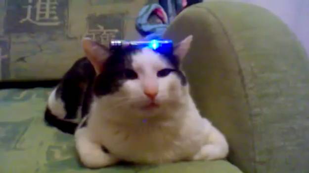 Котик 415 база смотреть онлайн