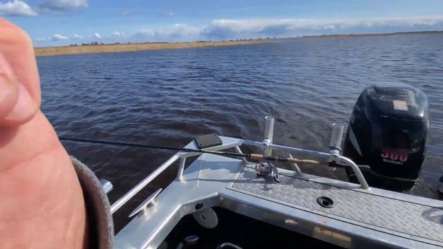 БЕШЕННЫЙ КЛЁВ ПЛОТВЫ и СИНЦА на Рыбинском вдхр. ? смотреть онлайн