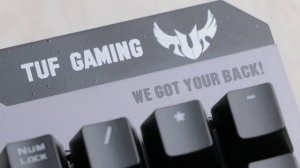 Как выбрать игровую клавиатуру | Советы тренера по Dota 2
