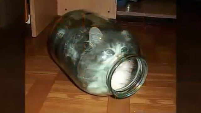 200010315 Спокойной ночи, добрых снов (0.15) смотреть онлайн