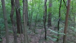 ВЕРНУТЬ ЗЛО НАЗАД . для всех . ИНГА ХОСРОЕВА . ВЕДЬМИНА ИЗБА .