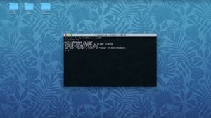 Как установить Python на Mac OS, Windows или Linux | Базовый курс. Программирование на Python