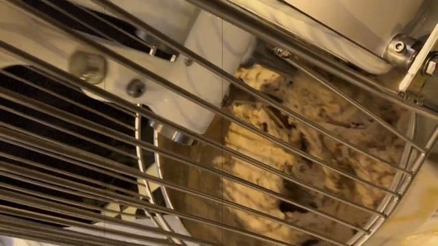 Brotzeit 2017 mit Salva смотреть онлайн