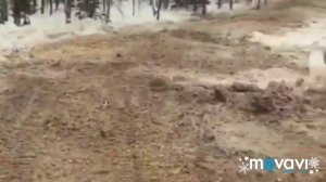 Район с. Итатка Томской области