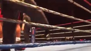 Dmitry Bivol 5-0 (5KO's ) vs Cleiton Conceicao 22-8 (18KO's)