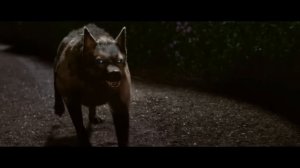 10 ЗАХВАТЫВАЮЩИХ ФЭНТЕЗИ ФИЛЬМОВ, КОТОРЫЕ ЗАПРОСТО МОГУТ СТАТЬ ЖЕМЧУЖИНОЙ ДОМАШНЕГО КИНОТЕАТРА!