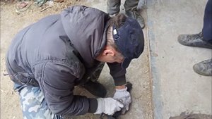 замена подвесного подшипника ford transit рабочие будни