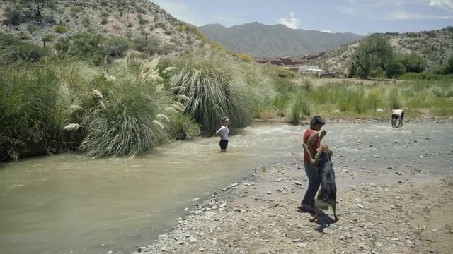 The Rapha Cargo Bib Shorts смотреть онлайн