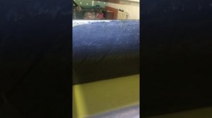 Производство поролона