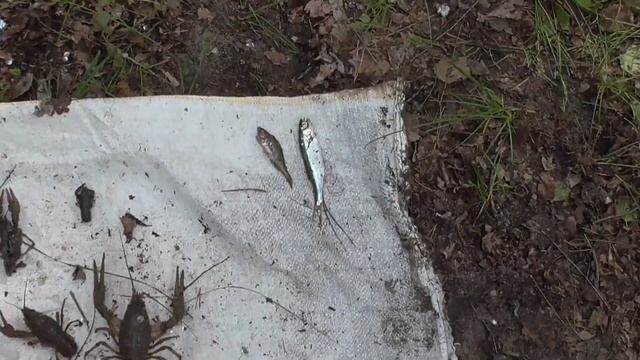 Пресечение незаконной добычи водных биоресурсов на Матырском водохранилище Липецкой области