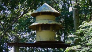 Federal Signal Model 5 Tornado Siren Test, Alert & Attack - Reidville, SC 6/2022