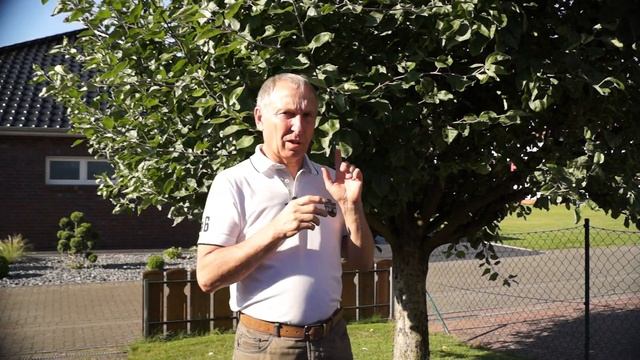 Как заставить плодовое дерево плодоносить