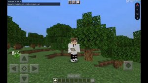 Что делать если у вас не работает мод или не такая версия или же нет текстур Minecraft