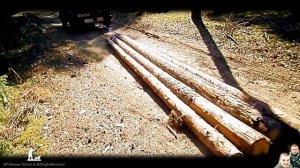 Трелёвка леса внедорожником.