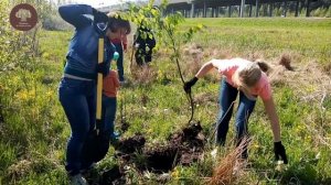 Всероссийский день леса. Сажаем лес в Юнтоловском заказнике