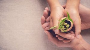 Медитация "Взросление и ответственность"