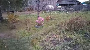 Домик в деревне. Дела осенние