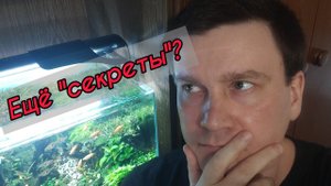 Вдогонку по поводу "секретов акваскейпинга"