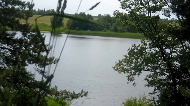 Озеро Белое Чашникский район смотреть онлайн