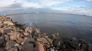 ЮЖНАЯ ДАМБА В ПЕТЕРБУРГЕ. ТУРБО ЛЕЩ И ОТОРВАННЫЕ КРЮЧКИ.