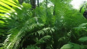 Лаба, ловля форели на Smith D-Contact