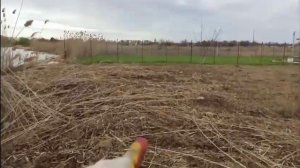 Покос травы ,камыша минитрактором мульчиром  село Красносельское .
