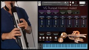 Roland Aerophone AE-30 Pro and VG Trumpet Harmon muted sound library for NI Kontakt, vst plugin.