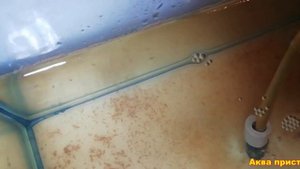 Чем питается артемия