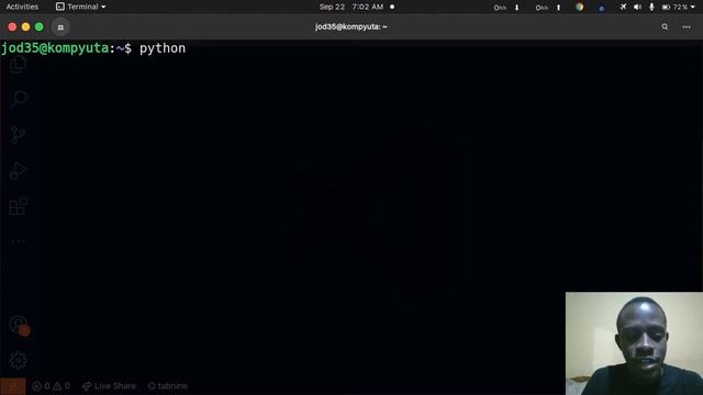 Utilizing the Python Interpreter