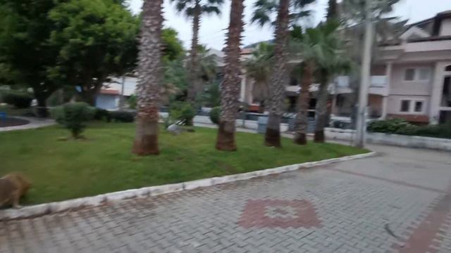 Люблю вставать раньше всех! смотреть онлайн