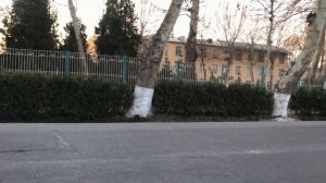 Улица Нодирабегим, Самарканд